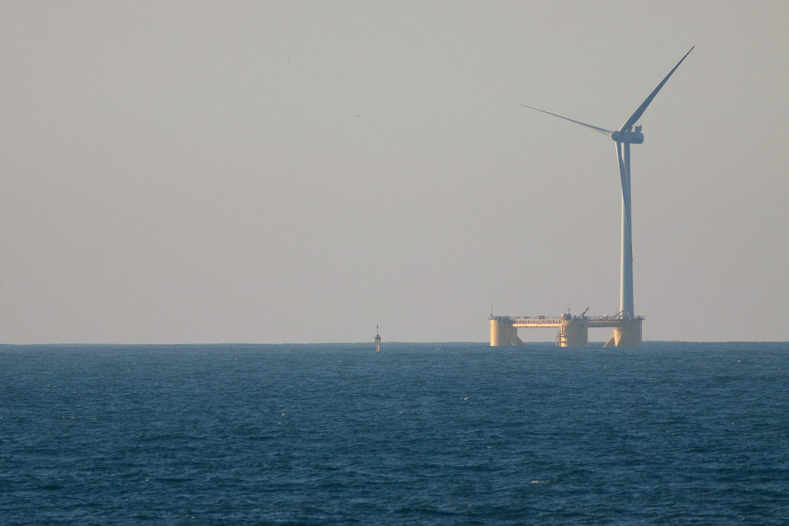 Floating offshore wind farm